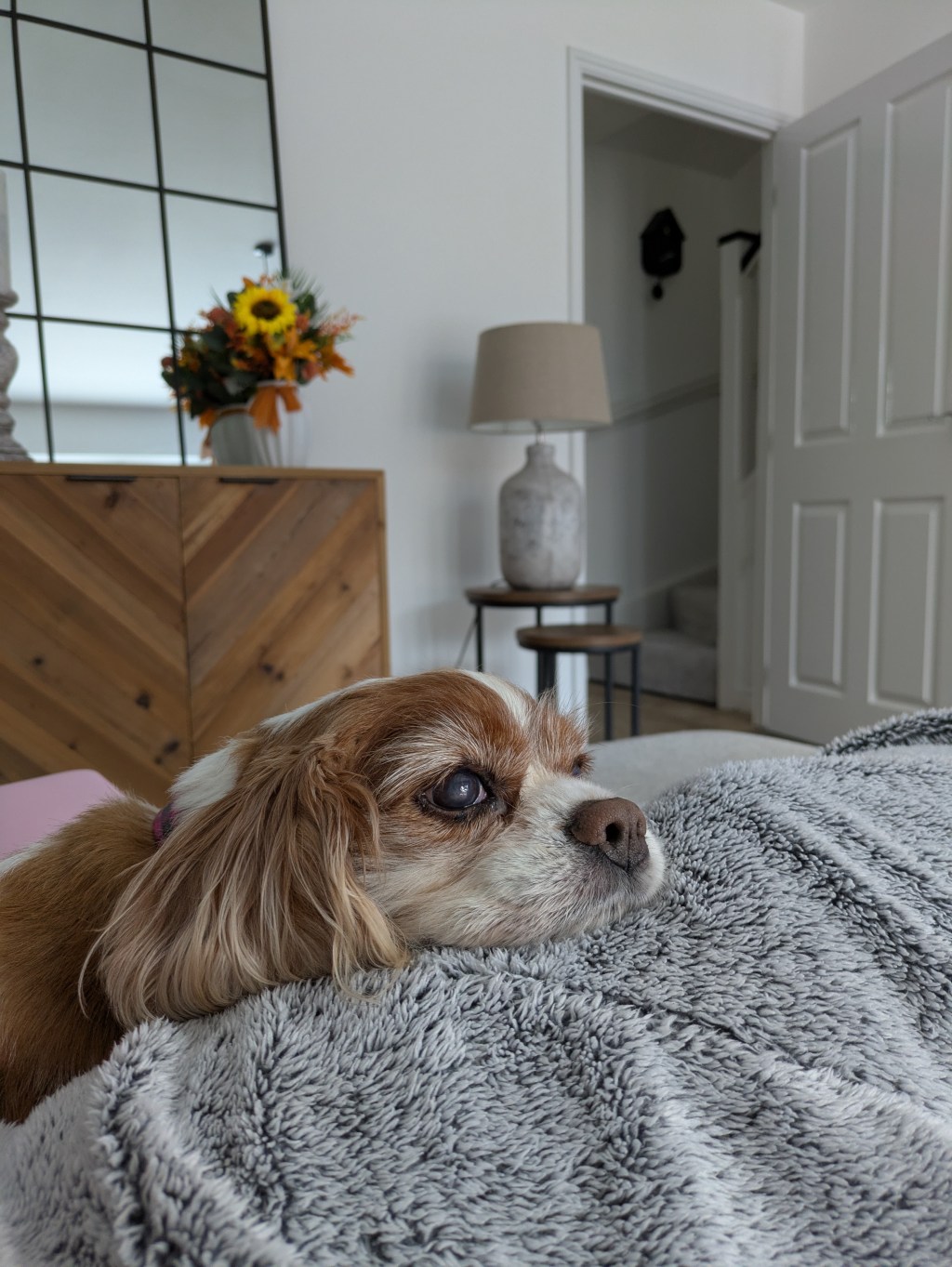 When coming home ain’t the same&nbsp;…